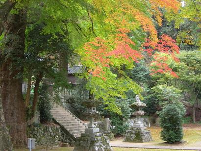 DSCN0836.JPG