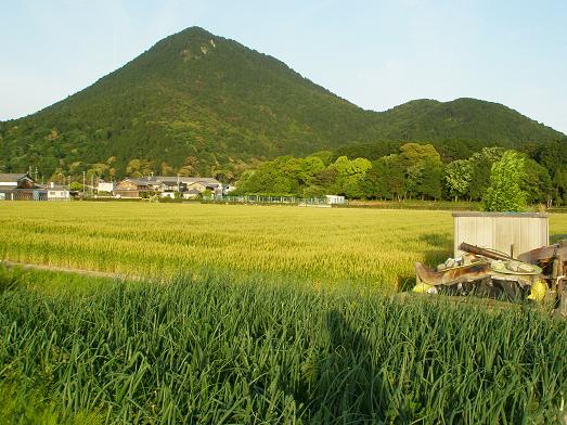 近江富士(麦畑)