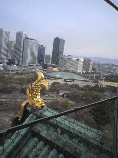大阪城から見た大阪城ホール