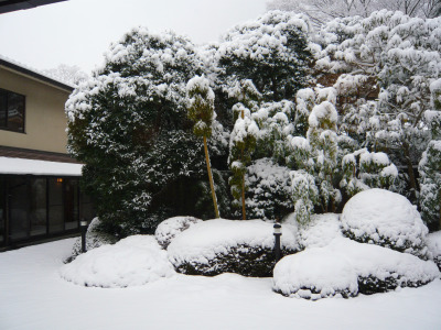 箱根の宿から見えた雪景色