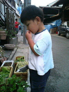 060603_171513.JPG