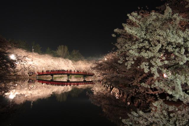 2009夜桜.jpg