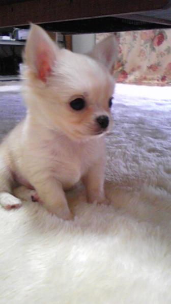 お腹すいたな・・