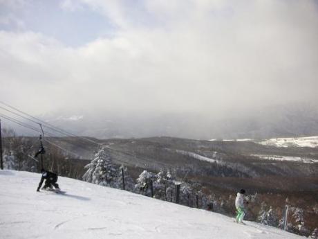 綺麗よねぇ・・