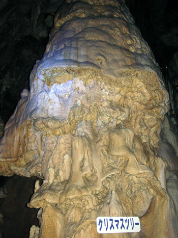 威厳を感じます♪