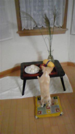 「やっぱり、がまんできない☆」