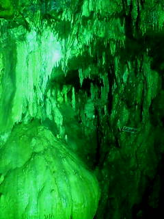 ライトが緑なの