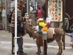 ロバの花屋さん