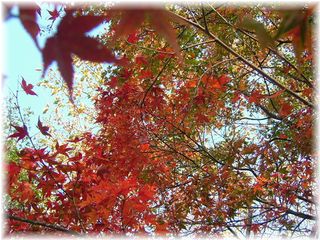 2005-11-16 22:41:03