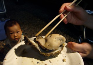 カキぷりんぷりん