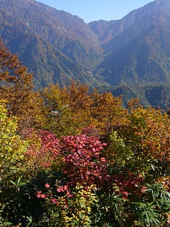 中山山頂からのブナクラ峠