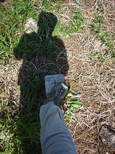 05