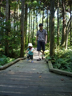 木道を歩く
