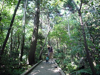 じゃんぐるinじゃぱん