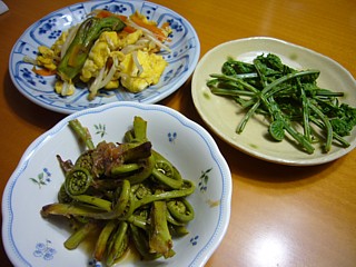 山菜料理