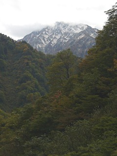 新雪（毛勝山西北尾根）