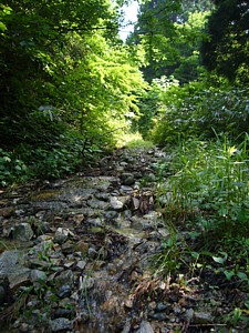 沢か？道か？