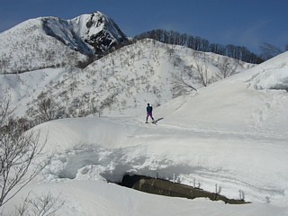 雪の量に注目