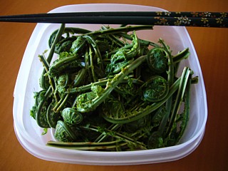 コゴミ調理後