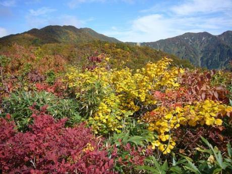 成谷山から僧ヶ岳