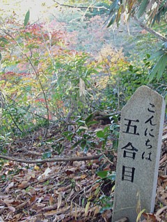 五合目