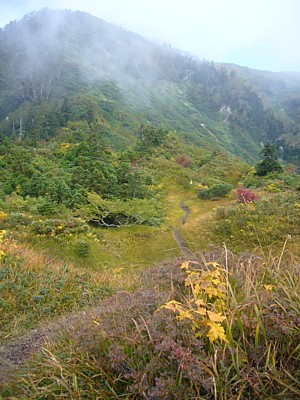 大猫平から山頂を望む（良いところだ）