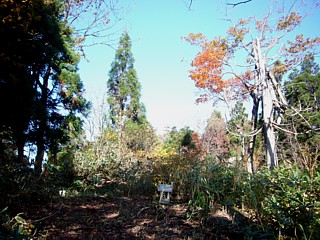 山頂全景