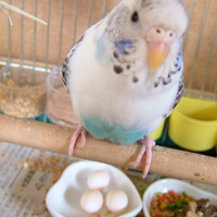 DSCF3079.jpg