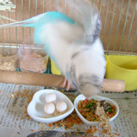 DSCF3080.jpg