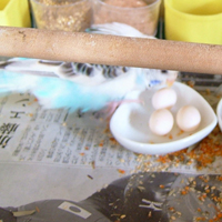DSCF3082.jpg