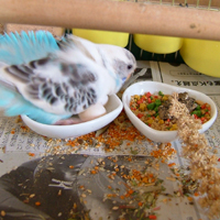 DSCF3083.jpg