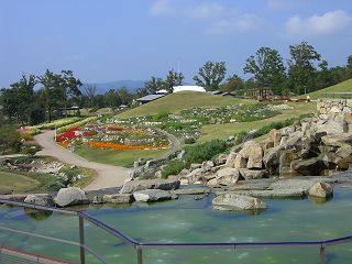 まんのう公園２