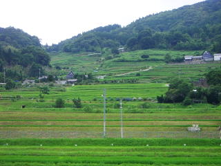 棚田6