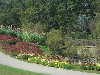 まんのう公園４