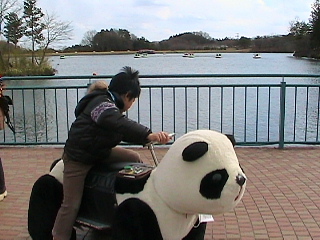 りんどう湖3