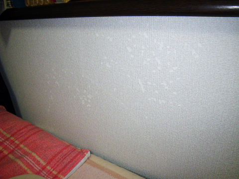 その後の壁紙２