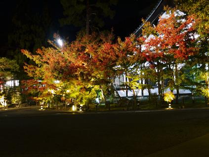2010年11月15日_P1080450.JPG
