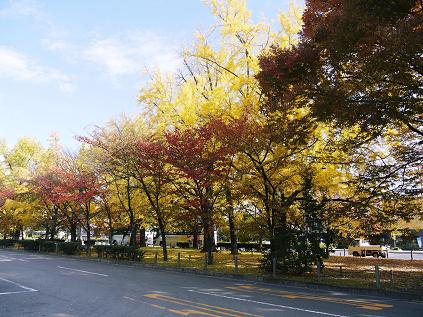 2010年11月17日_P1080805.JPG