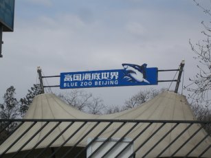 080302水族館1