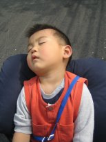 060430自転車はやと