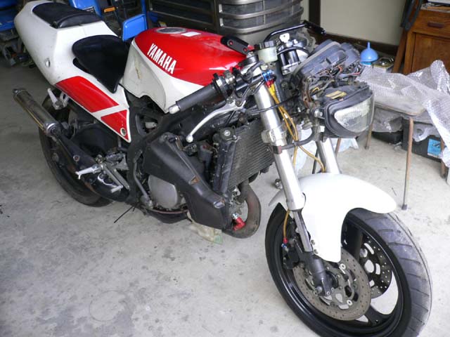 P1000871.JPG