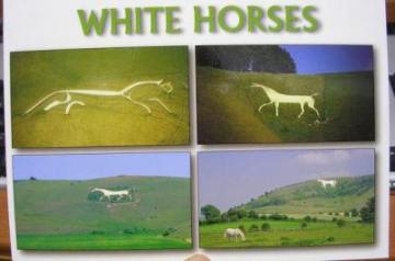 white horses.jpg