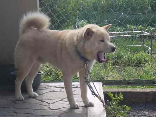 サイズ変更atarasii 959.jpg