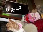2005-12-19 08:26:41