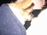 2005-12-19 09:40:16