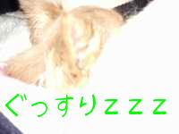 2005-12-19 09:40:59