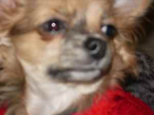 2005-12-16 09:29:42
