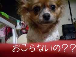 サイズ変更atarasii 421.jpg