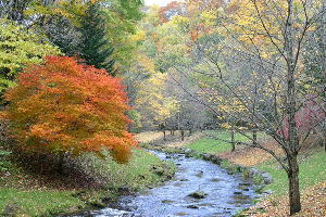 滝野すずらん公園の紅葉