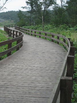 サイクリング道5